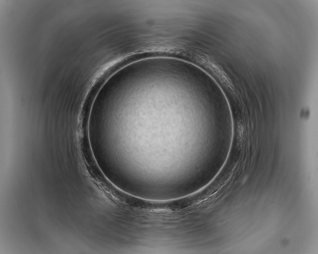 X0000098200628200805011147