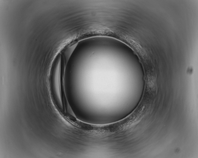 X0000098200630200805011147