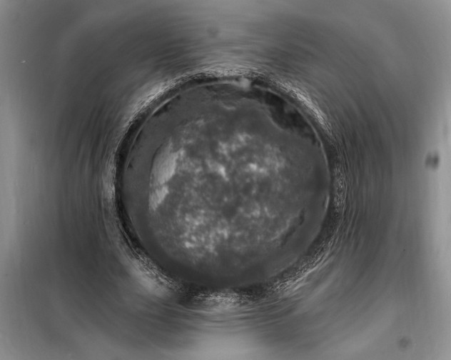 X0000098200631200805011147