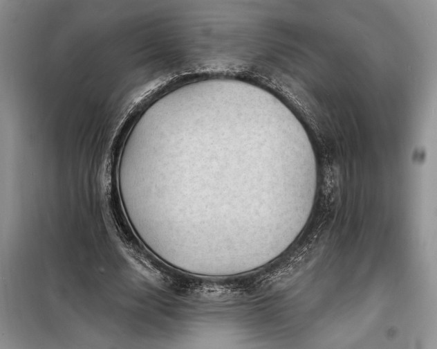 X0000098200632200805011147