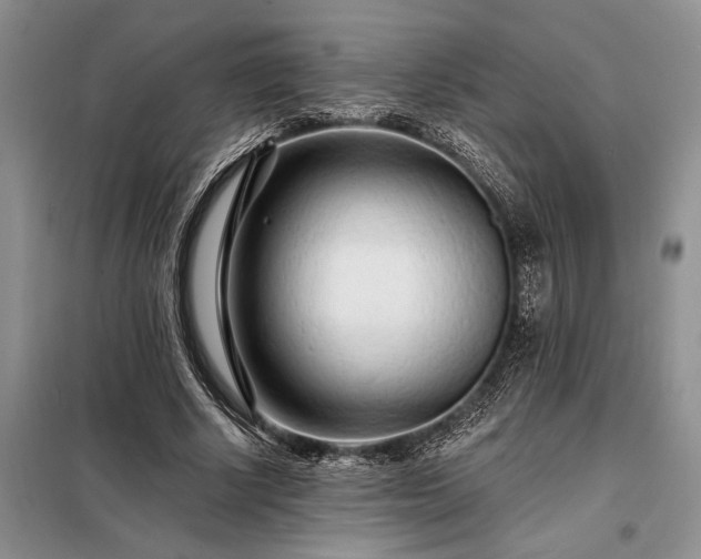 X0000098200634200805011147