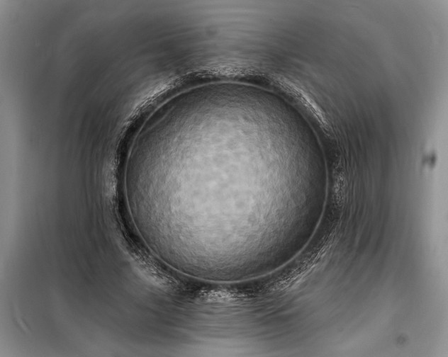 X0000098200635200805011147