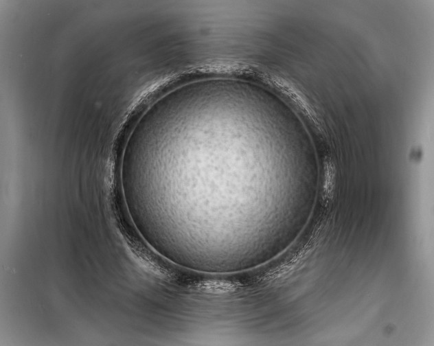 X0000098200636200805011147