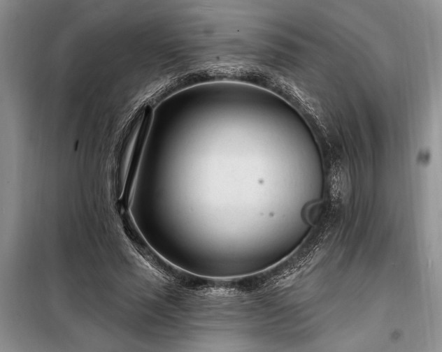 X0000098200637200805011147