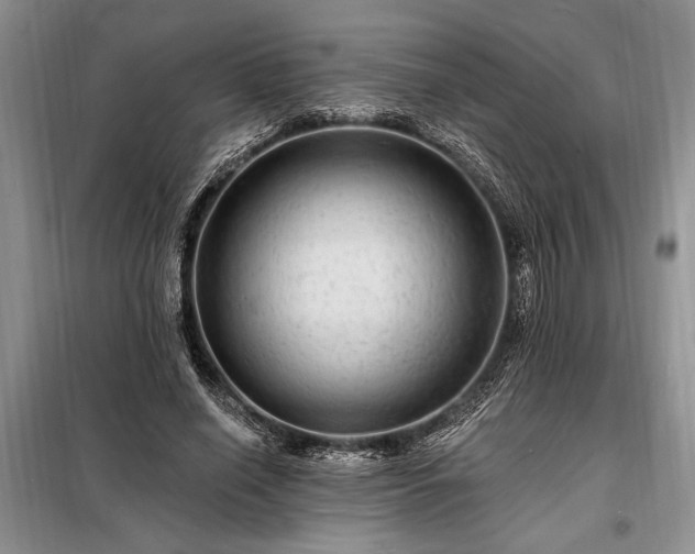 X0000098200638200805011147