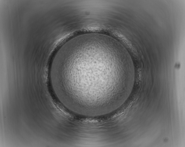 X0000098200640200805011148