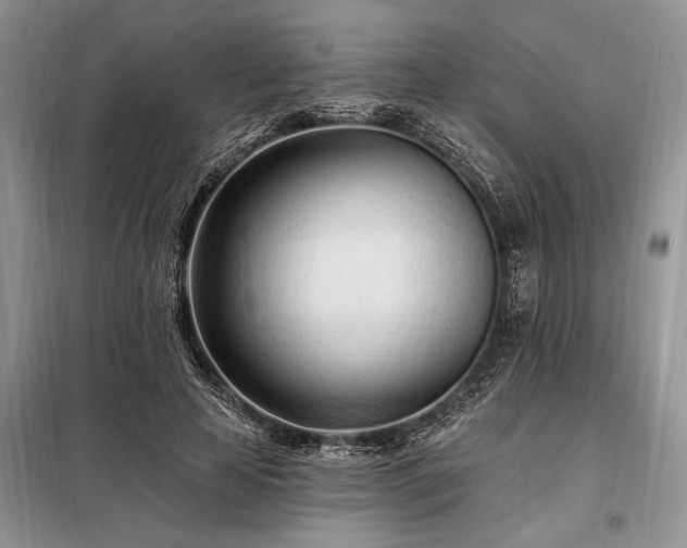 X0000098200641200805011148