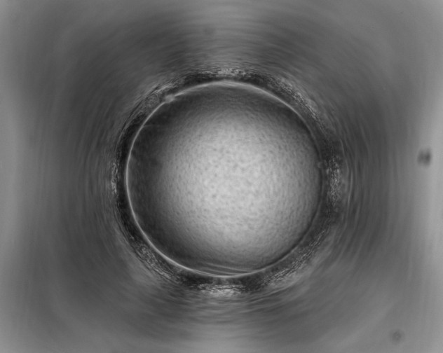 X0000098200643200805011148