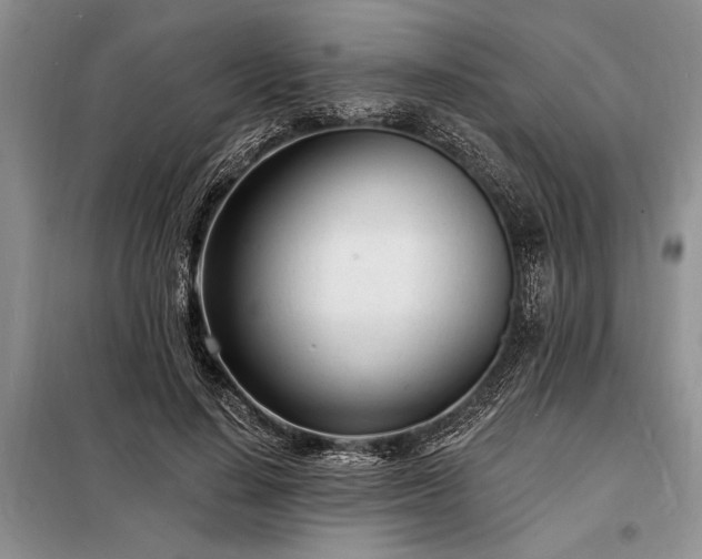 X0000098200644200805011148