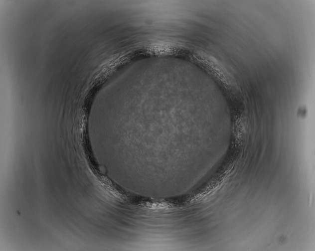 X0000098200645200805011148