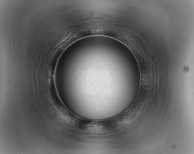 X0000098200648200805011148