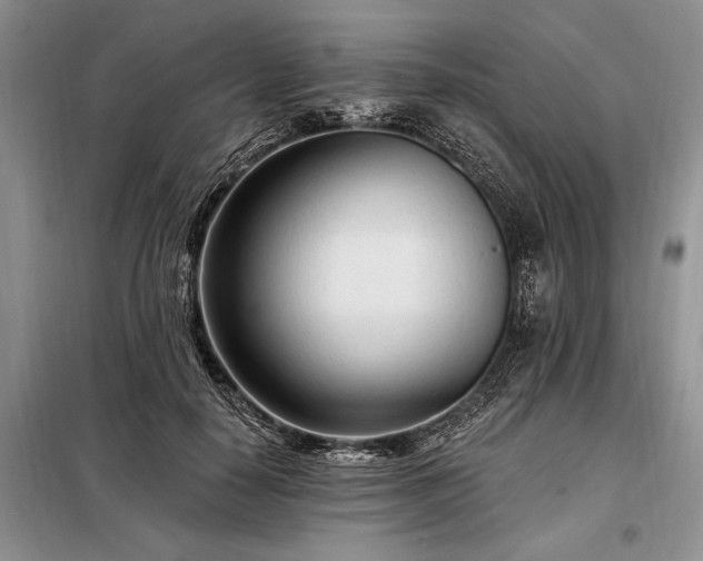 X0000098200650200805011148