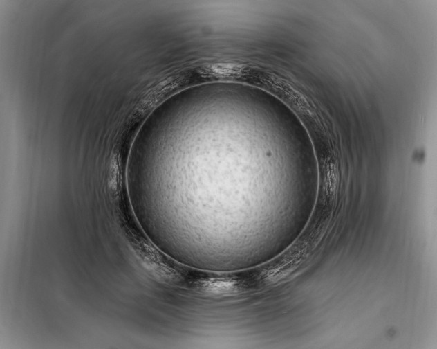 X0000098200651200805011148
