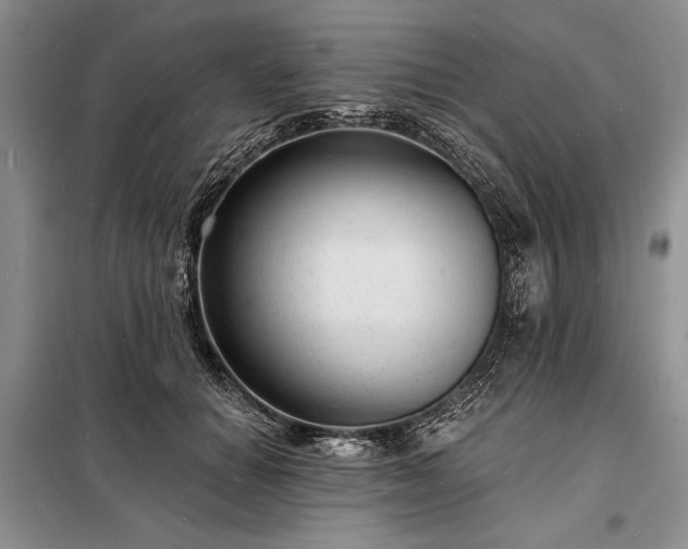 X0000098200654200805011148