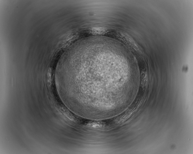 X0000098200655200805011148