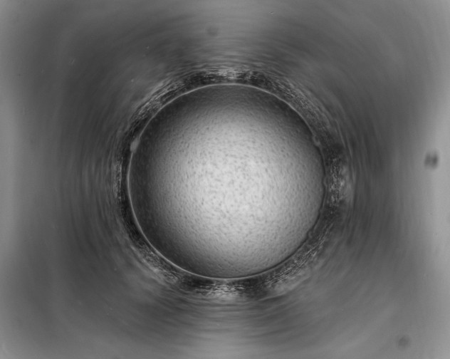 X0000098200656200805011148