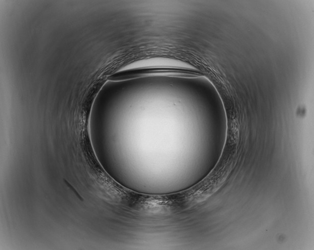 X0000098200657200805011148