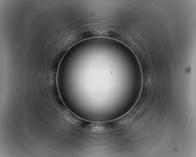 X0000098200658200805011148