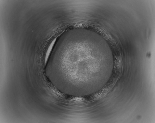 X0000098200659200805011148