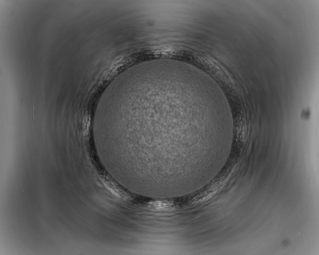 X0000098200660200805011148