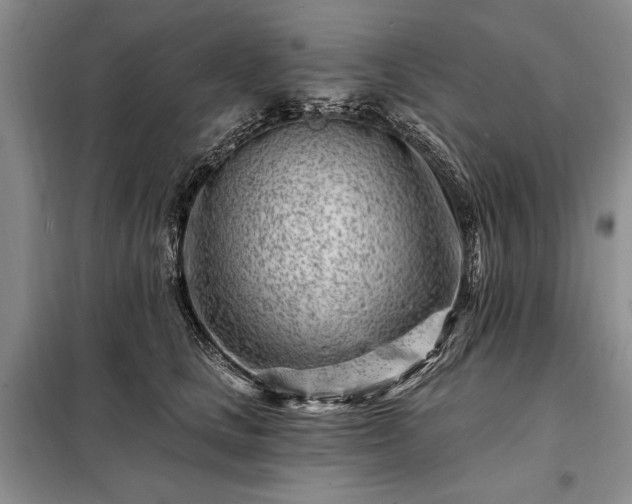 X0000098200661200805011148
