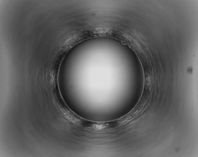 X0000098200662200805011148