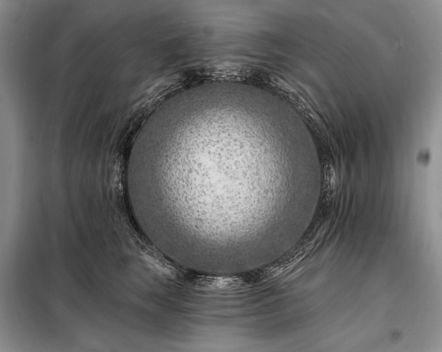X0000098200663200805011148