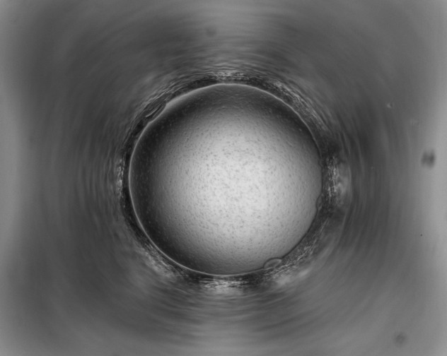 X0000098200664200805011148
