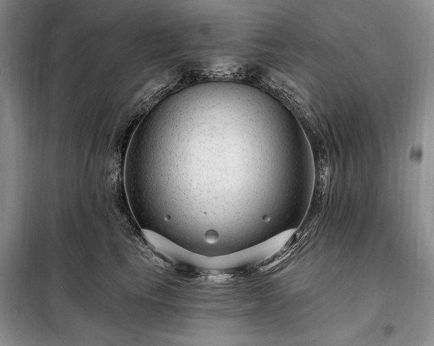 X0000098200665200805011148