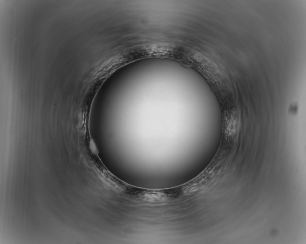 X0000098200666200805011148