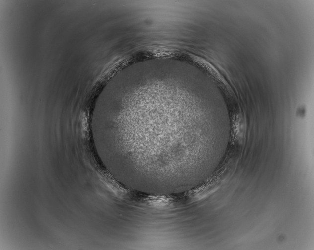 X0000098200667200805011148