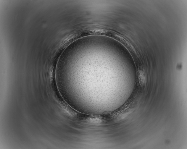 X0000098200668200805011148