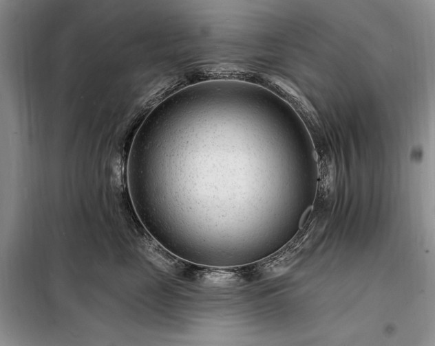 X0000098200669200805011148