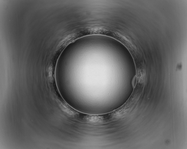 X0000098200670200805011148