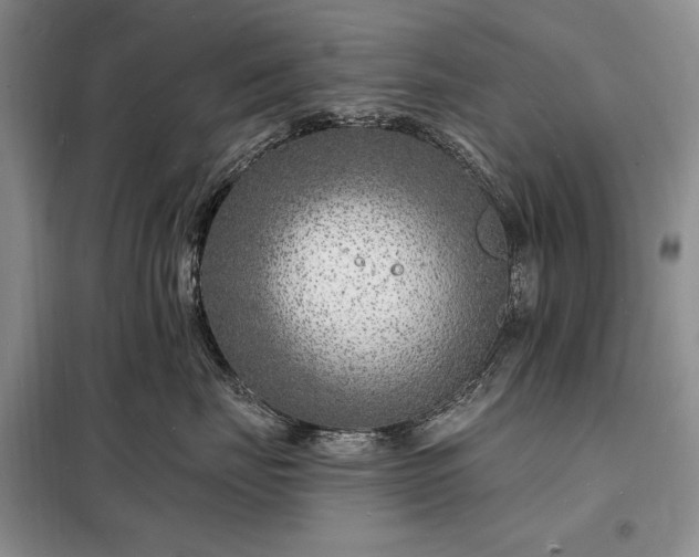 X0000098200671200805011148