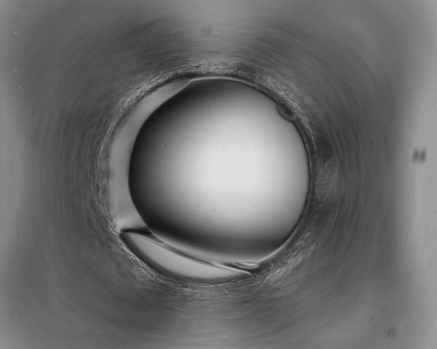 X0000098200673200805011147