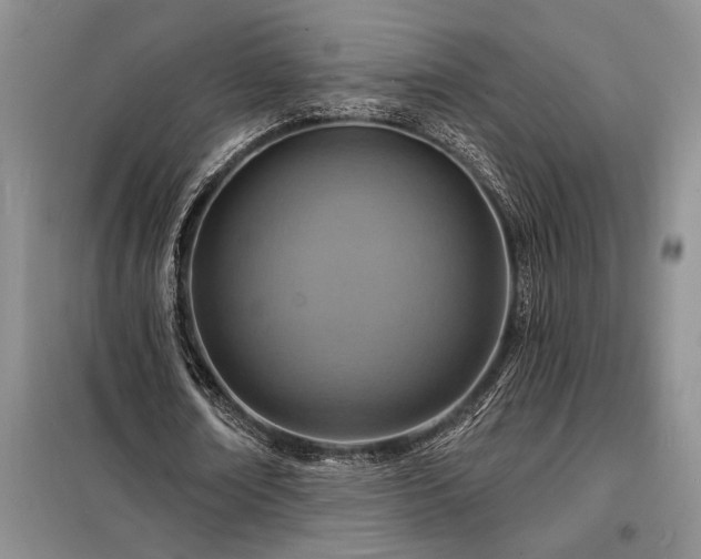 X0000098200674200805011147