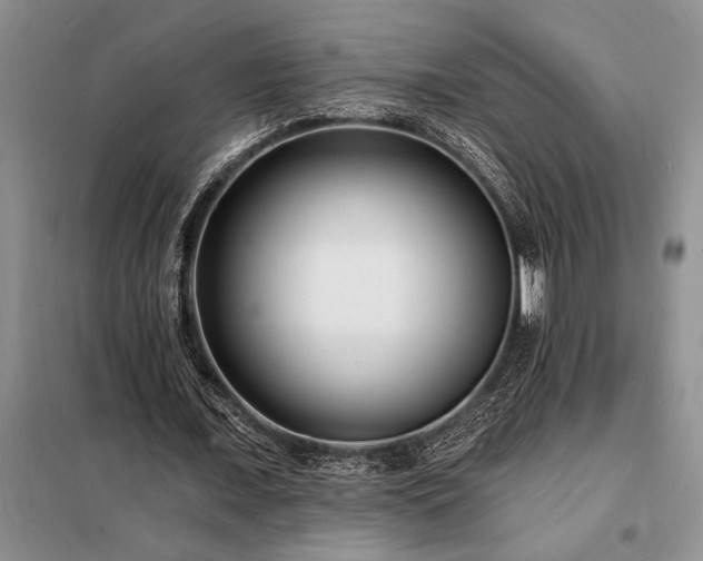 X0000098200675200805011147