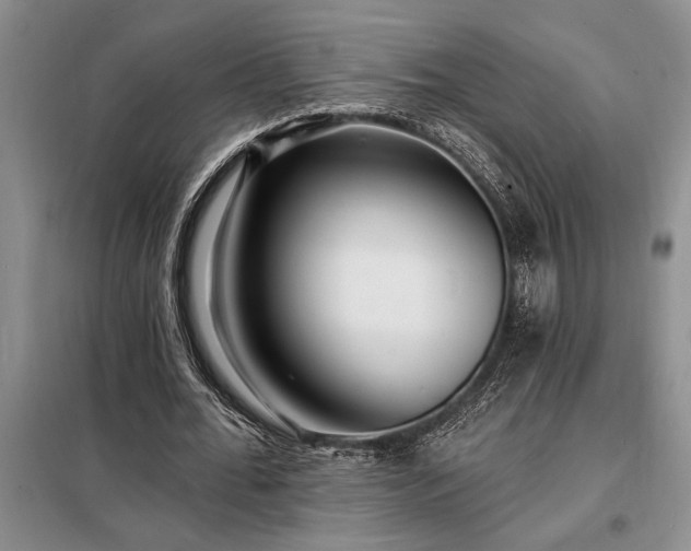 X0000098200676200805011147