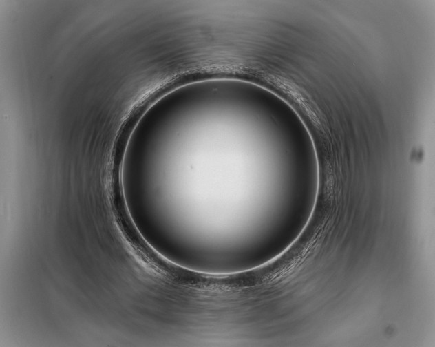 X0000098200677200805011147
