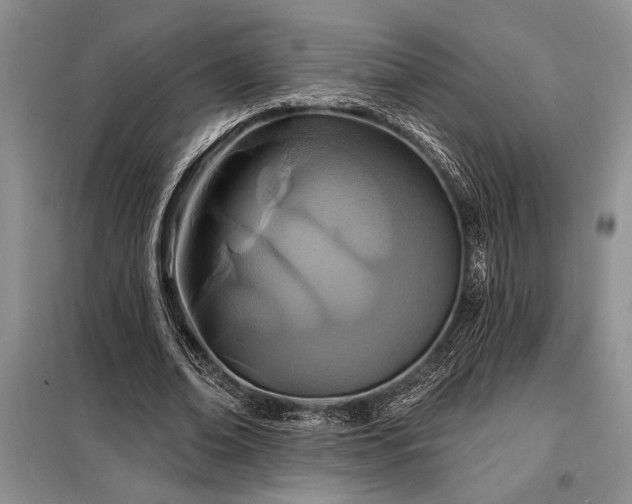 X0000098200678200805011147