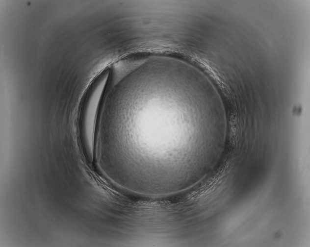X0000098200679200805011147