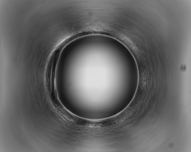 X0000098200680200805011147