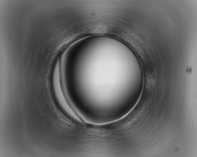 X0000098200681200805011147