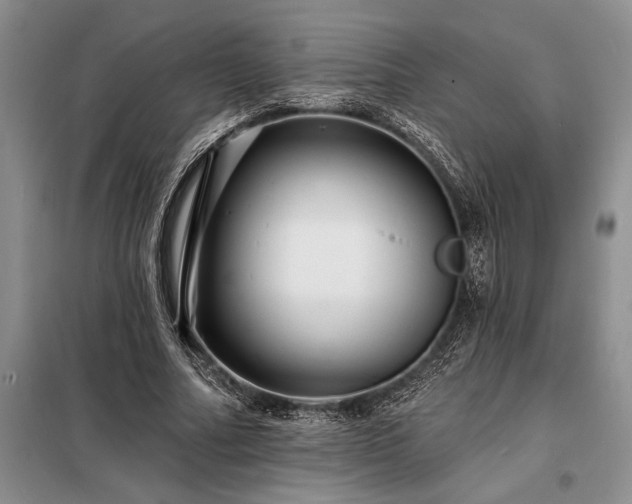 X0000098200682200805011147