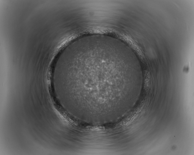 X0000098200683200805011147