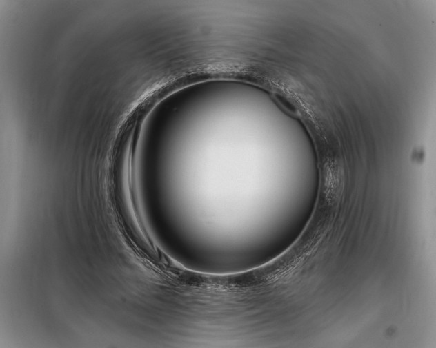 X0000098200684200805011147