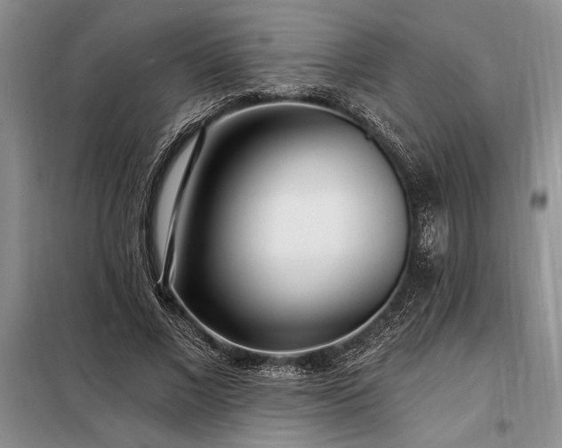 X0000098200685200805011147