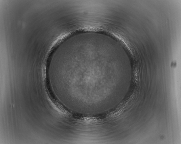 X0000098200686200805011147