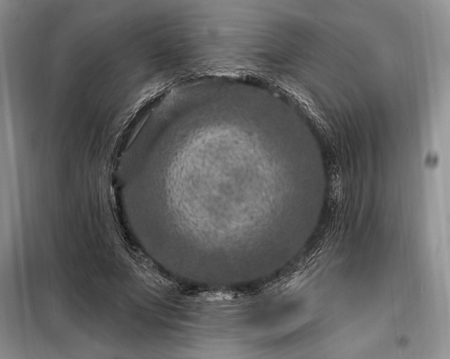 X0000098200687200805011147